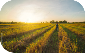 アクリビジネス
