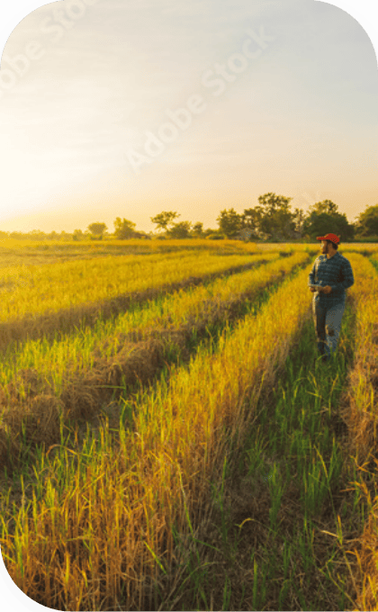 アグリカルチャー